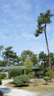 01-Logements-10.jpg