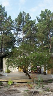 01-Logements-22.jpg