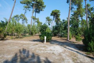01-Logements-66.jpg