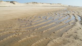01-Plage-008-Euronat.JPG