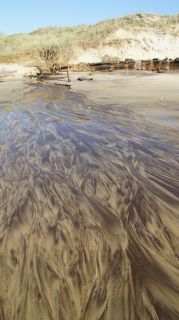 01-Plage-011-Euronat.JPG