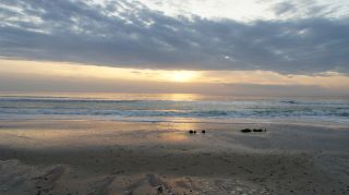 01-Plage-014-Euronat.JPG