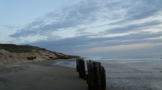 01-Plage-015-Euronat.JPG