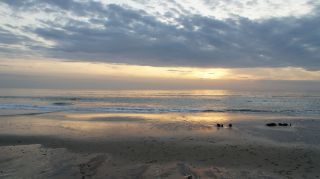 01-Plage-016-Euronat.JPG