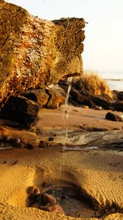 01-Plage-025-Euronat.JPG