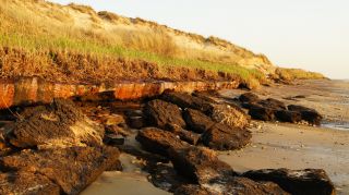 01-Plage-026-Euronat.JPG