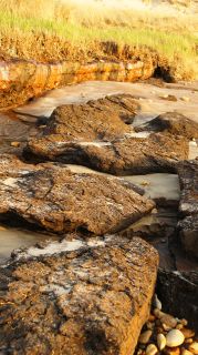 01-Plage-027-Euronat.JPG