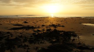 01-Plage-028-Euronat.JPG