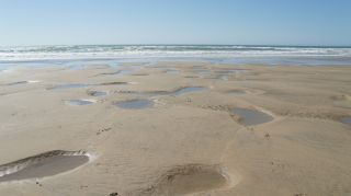 01-Plage-039-Euronat.JPG