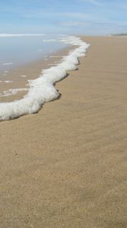 01-Plage-046-Euronat.JPG