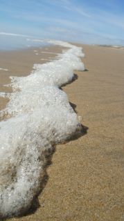 01-Plage-047-Euronat.JPG