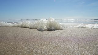 01-Plage-049-Euronat.JPG