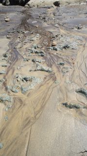 01-Plage-054-Euronat.JPG
