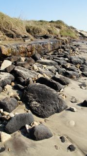 01-Plage-060-Euronat.JPG