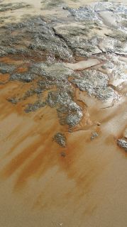01-Plage-061-Euronat.JPG