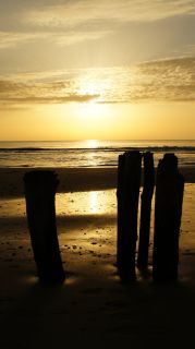 01-Plage-069-Euronat.JPG