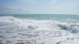 01-Plage-077-Euronat.JPG