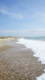 01-Plage-079-Euronat.JPG