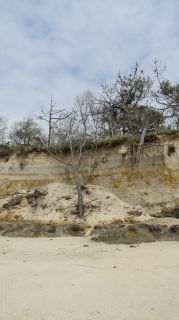 01-Plage-089-Euronat.JPG