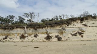 01-Plage-093-Euronat.JPG