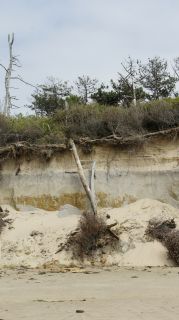 01-Plage-094-Euronat.JPG