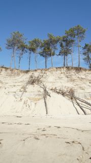 01-Plage-096-Euronat.JPG