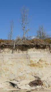 01-Plage-099-Euronat.JPG
