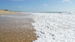 01-Plage-102-Euronat.JPG