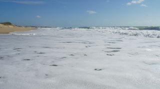 01-Plage-103-Euronat.JPG