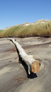 01-Plage-111-Euronat.JPG