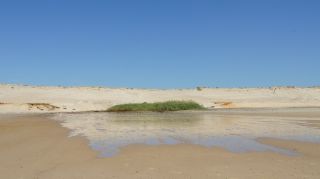 01-Plage-122-Euronat.JPG