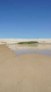 01-Plage-123-Euronat.JPG