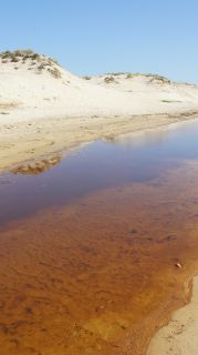 01-Plage-125-Euronat.JPG