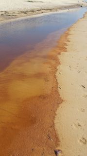 01-Plage-126-Euronat.JPG