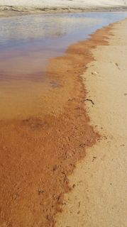 01-Plage-127-Euronat.JPG