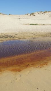 01-Plage-129-Euronat.JPG