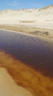 01-Plage-130-Euronat.JPG