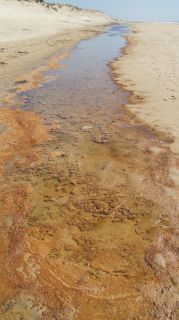 01-Plage-132-Euronat.JPG