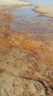 01-Plage-134-Euronat.JPG