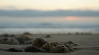 01-Plage-143-Euronat.JPG
