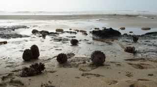 01-Plage-169-Euronat.JPG