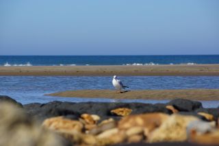 01-Plage-175-Euronat.JPG