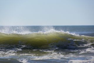 01-Plage-181-Euronat.JPG