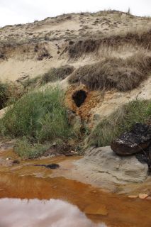 01-Plage-193-Euronat.JPG
