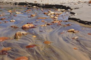01-Plage-241-Euronat.JPG