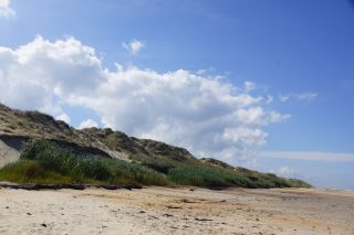 01-Plage-253-Euronat.JPG