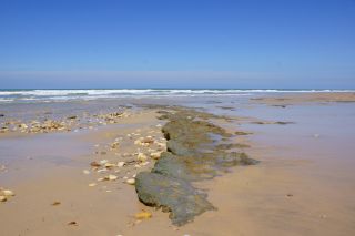 01-Plage-255-Euronat.JPG