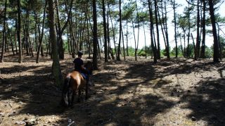 03-Activites-Equitation-03-Euronat_1.JPG