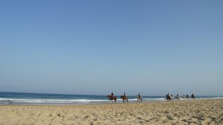 03-Activites-Equitation-06-Euronat.JPG