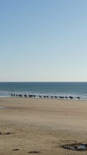 03-Activites-Equitation-07-Euronat.JPG